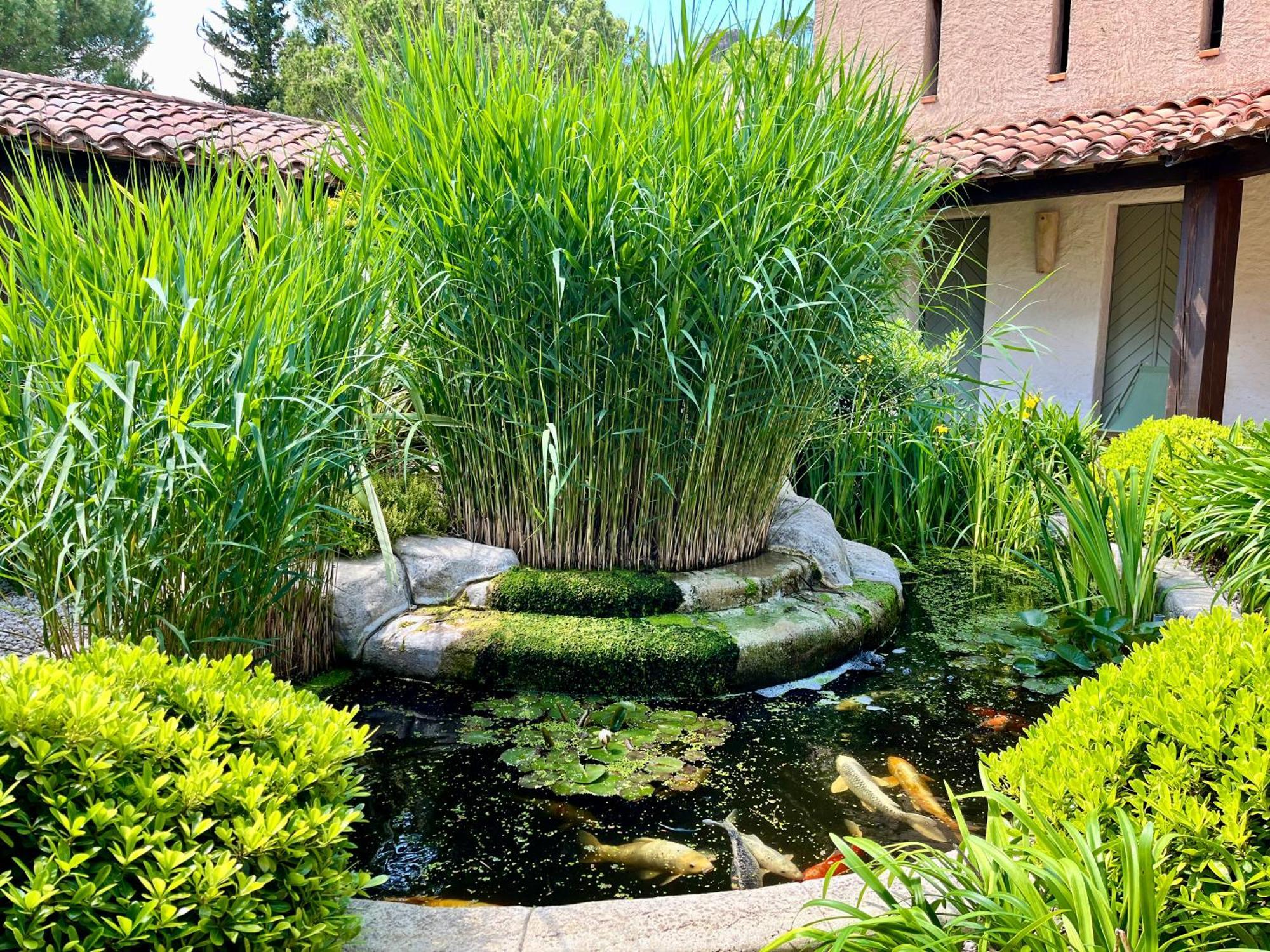 Auberge Val Moureze Hotel & Spa Esterno foto